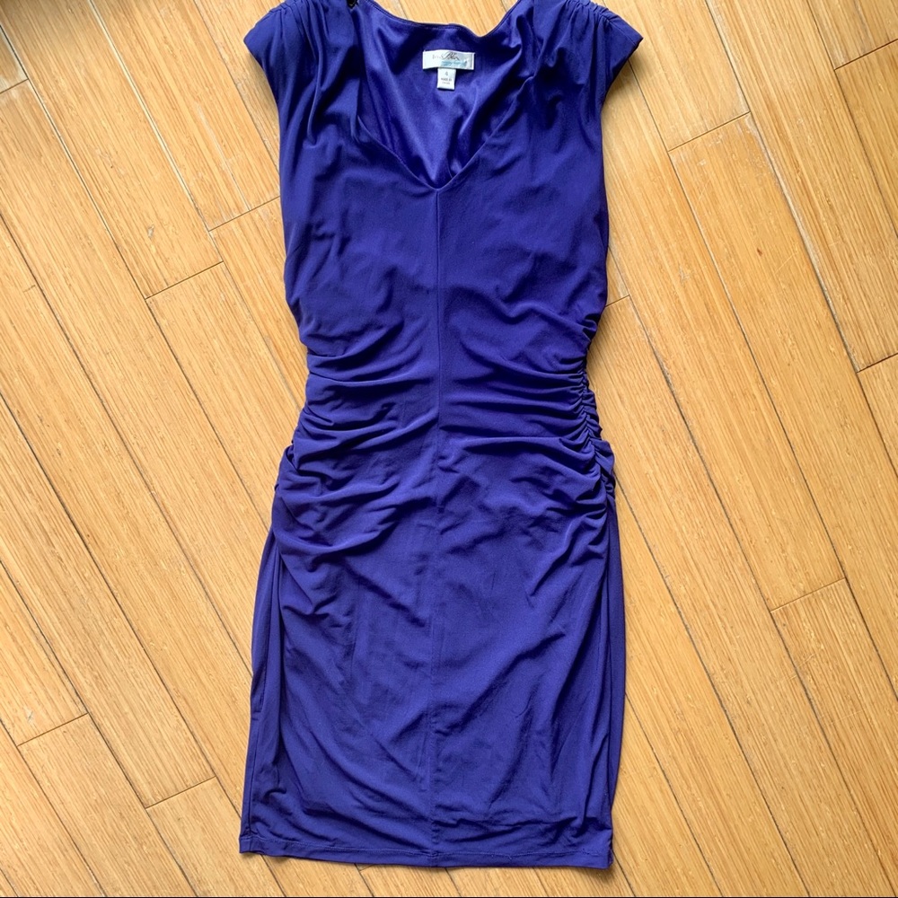 Ivy & Blu purple dress